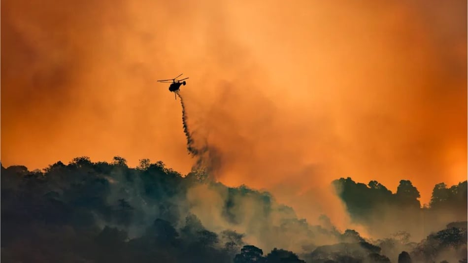 Atmospheric Carbon Dioxide Soars to 424PPM, Marking Biggest Yearly Jump Ever