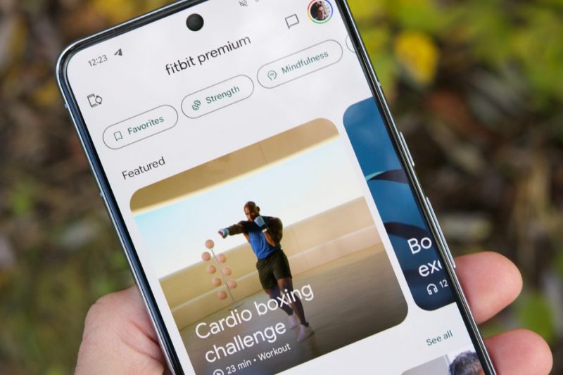 Fitbit’s latest update turns your app into a conversational personal trainer