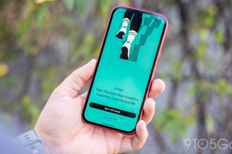 Fitbit Public Preview coming to more countries, adds VO2 Max, & US health records