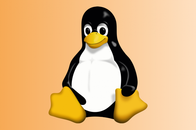 Linux's adorable Tux the Penguin mascot turns 30 today, and the OG design is…