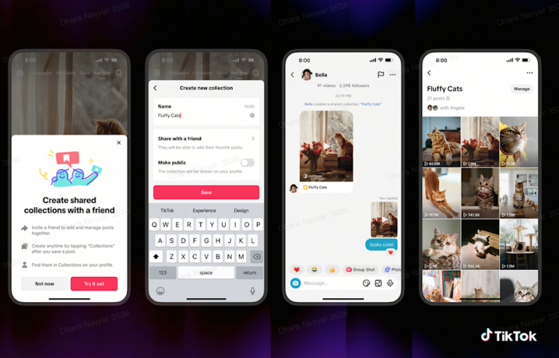 TikTok announces shared feed and collections features