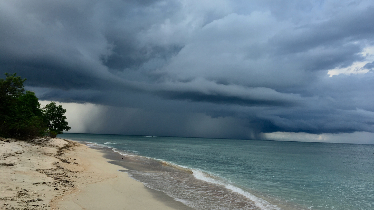 Bitchat Becomes Jamaica’s Go-to App as Hurricane Melissa Cripples Communication