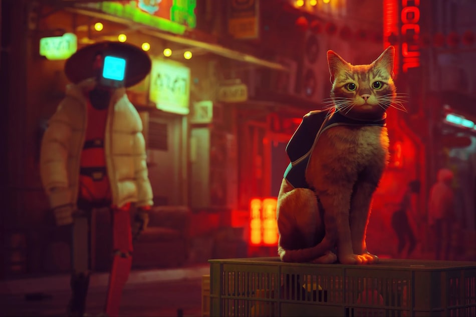 Cat Adventure Game Stray is Reportedly Coming to PS Plus Essential in November